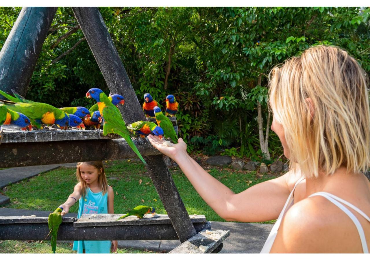 Discovery Parks - איירלי ביץ' מראה חיצוני תמונה